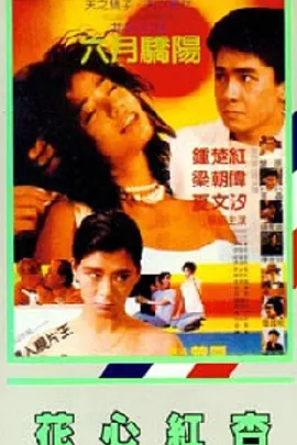 精品一级